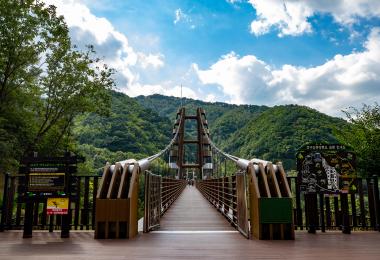 증평좌구산 명상구름다리 대표 이미지